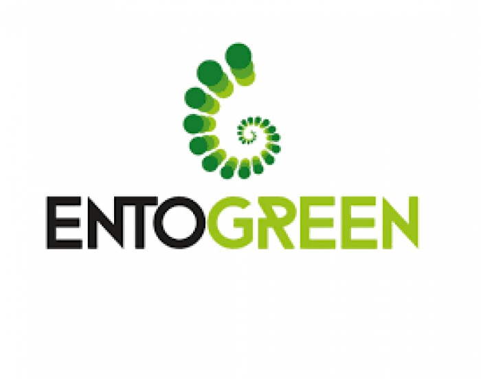 Insectos v&atilde;o ajudar a produzir adubos e farinha para alimentar animais