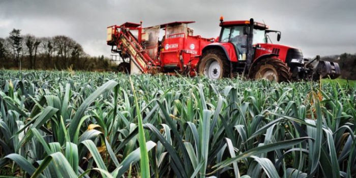 Novas medidas de apoio a jovens agricultores
