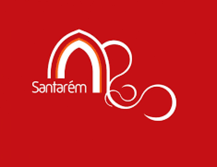 Regulamento Municipal de Concess&atilde;o de Incentivos ao Investimento