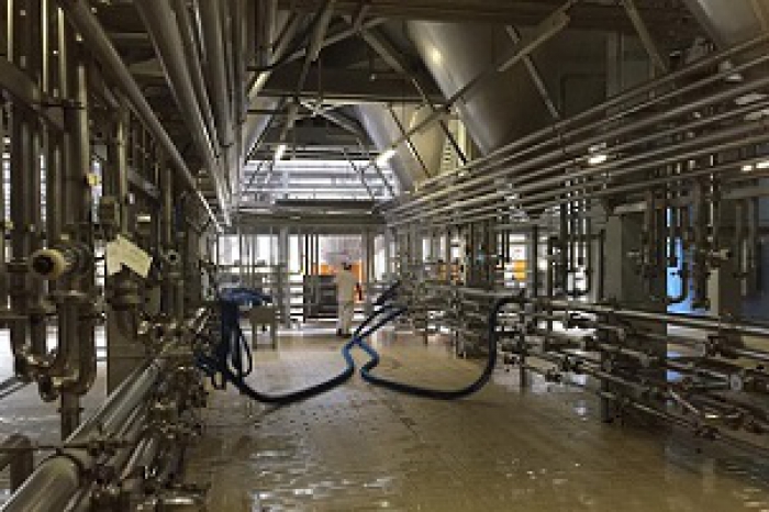 Font Salem vai duplicar produ&ccedil;&atilde;o da f&aacute;brica de Santar&eacute;m