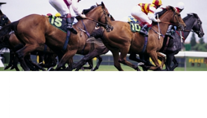 STARTUP SANTAR&Eacute;M lan&ccedil;a Programa de acelera&ccedil;&atilde;o para novos projetos empresariais