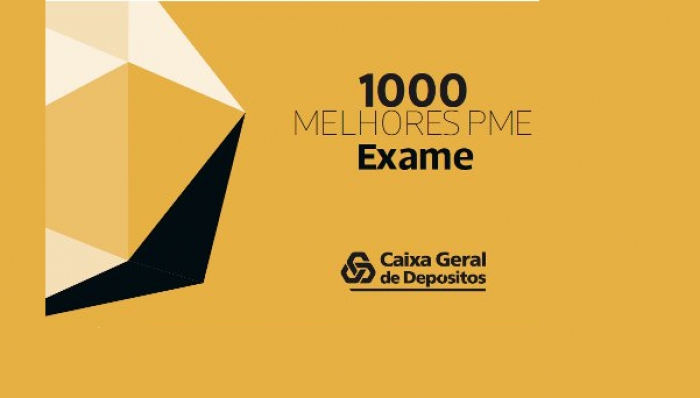 Empresas de Santar&eacute;m entre as 1000 maiores empresas nacionais