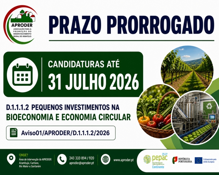 Candidaturas D.1.1.1.2 - Prorrogado at&eacute; 31 de Julho de 2026
