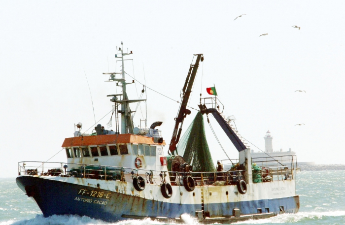 Apoio &agrave;s medidas de prote&ccedil;&atilde;o contra a Covid-19 nas Pescas e Aquicultura