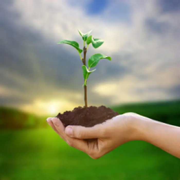 Apoios &agrave;s empresas afetadas pelos inc&ecirc;ndios e pelas cheias