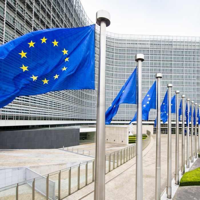 Comiss&atilde;o Europeia vai emitir 250 mil milh&otilde;es de euros em obriga&ccedil;&otilde;es verdes