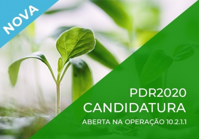 ABERTAS CANDIDATURAS PARA A OPERA&Ccedil;&Atilde;O 10.2.1.1