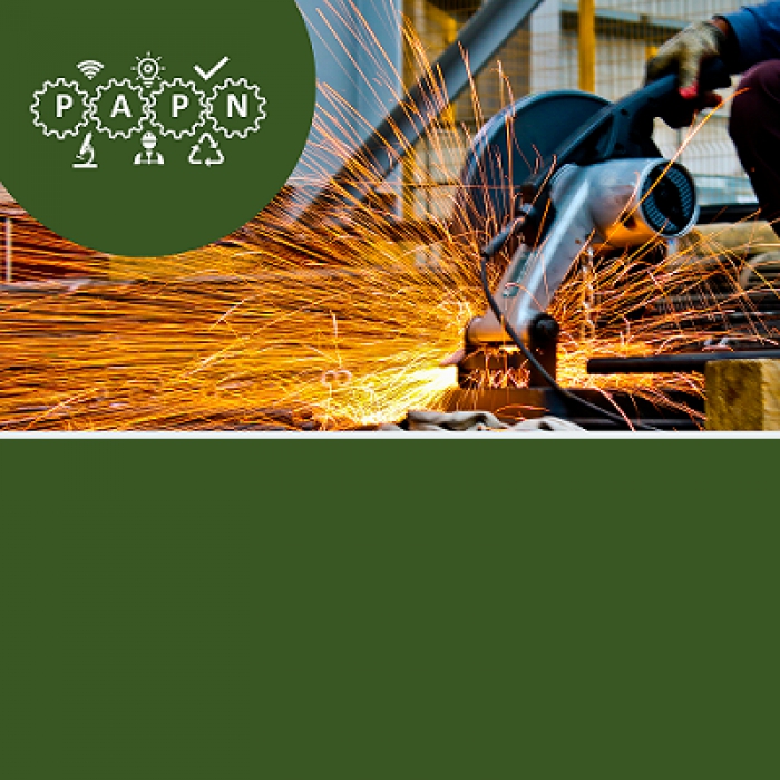 100 milh&otilde;es de euros para financiar a Produ&ccedil;&atilde;o Nacional
