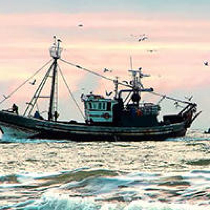Publicado Regulamento que cria o Fundo Europeu Mar&iacute;timo, das Pescas e da Aquicultura