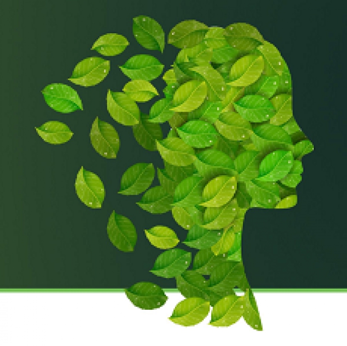 Eureka Clusters Sustainability | Call aberta at&eacute; 2 de maio