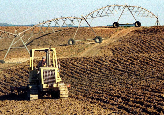 Estado disponibiliza 500 mil euros aos agricultores afetados pelos inc&ecirc;ndios 1 / 1 Trabalhos agr&iacute;colas